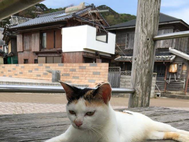 Minshuku yoshida ya