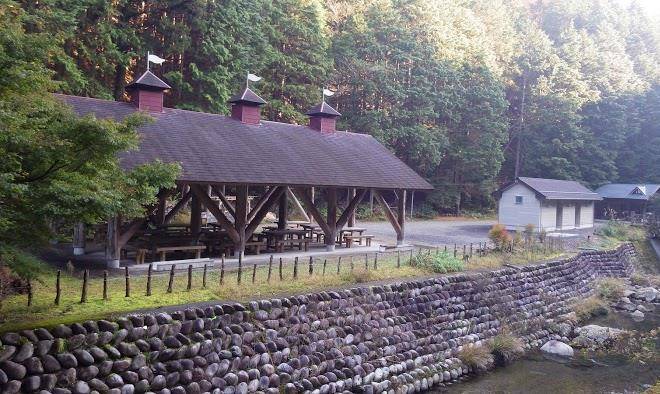 Yataki Woody Land Image