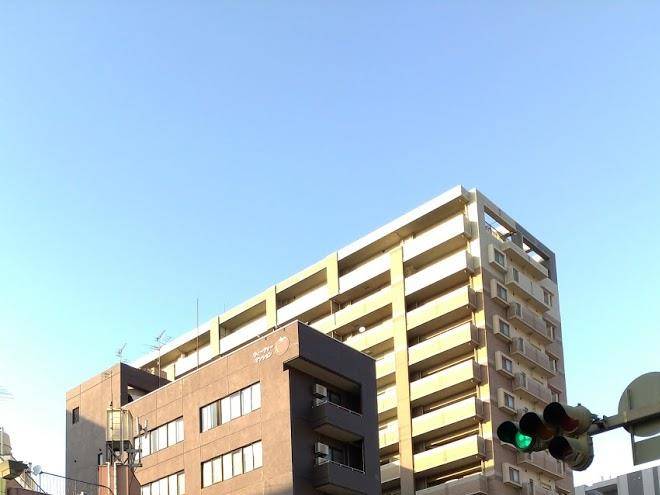 Hotel tomato