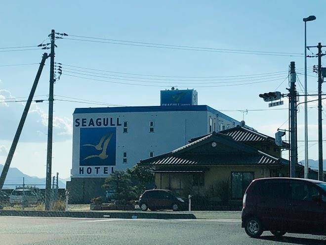 Seagull hotel