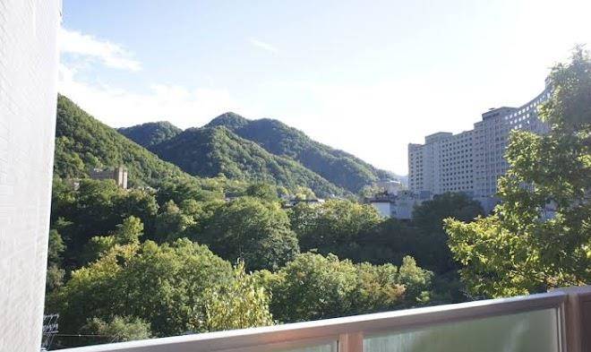 Few days condominium jozankei