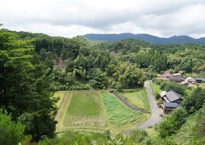 Okamotoya