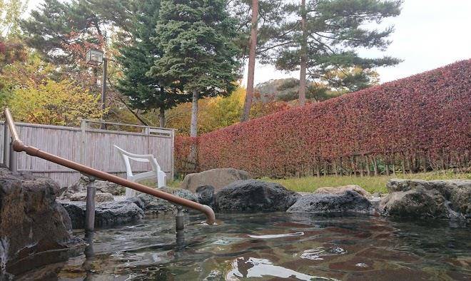 Hotel ginga park hanamaki kanaya onsen