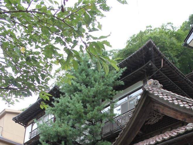 Nakajima ryokan