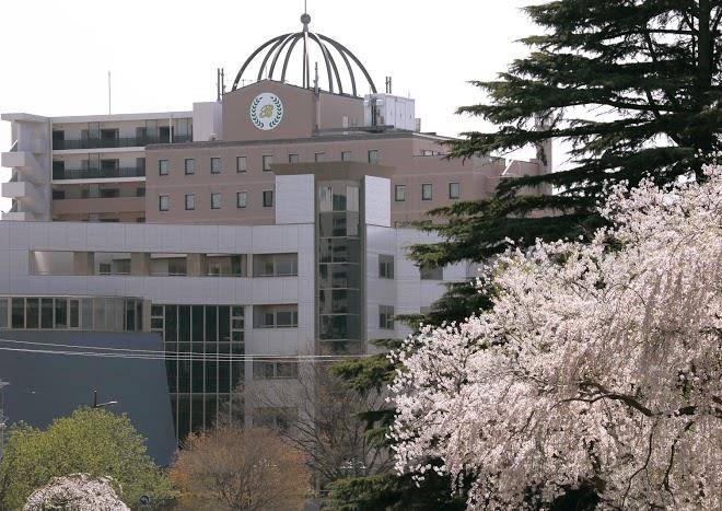 Hotel bright inn morioka