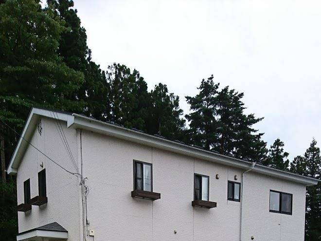 Tomariso