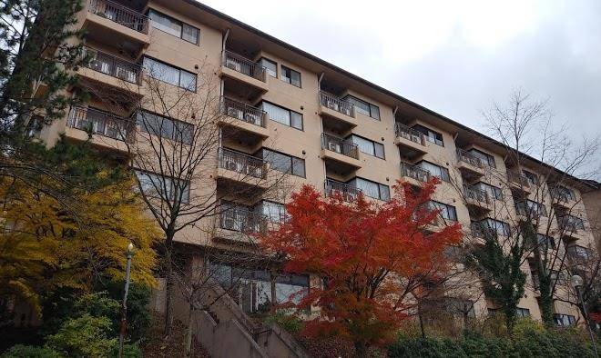 Kishutetsudohakonegorabira Image