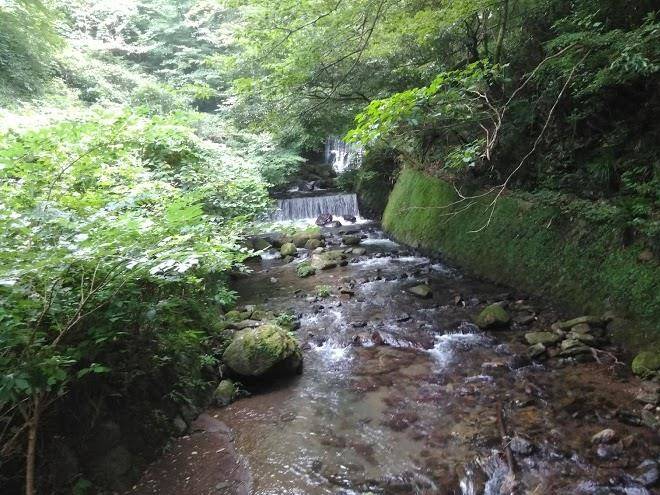 Korakuso honkan