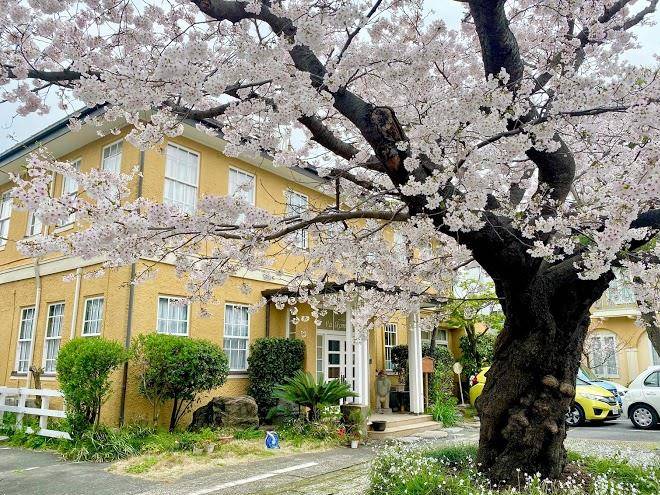 Hotel new kamakura