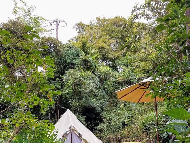 Nature healing lounge the out