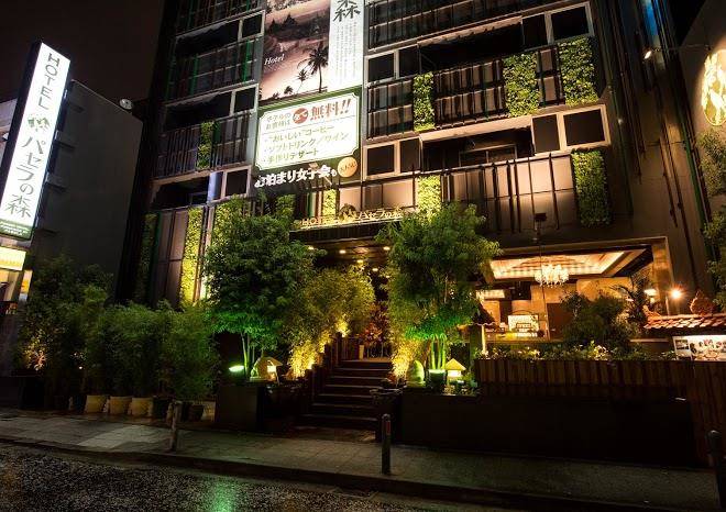 Forest hotel pasera