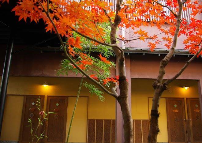 Takanoya
