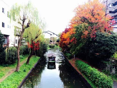 Secret garden kyoto