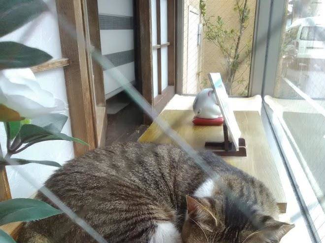 Kyo No Yado Unohana Image