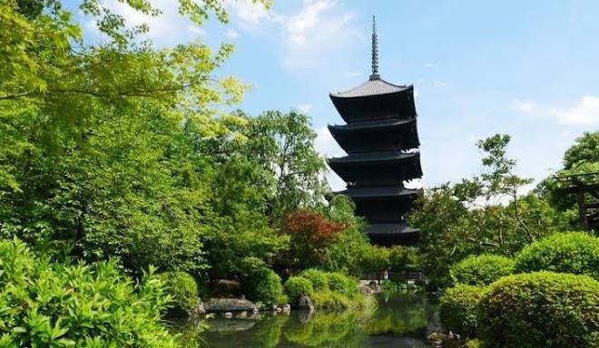 Coto kyoto toji 6