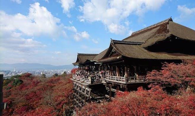 Stay sakura kyoto