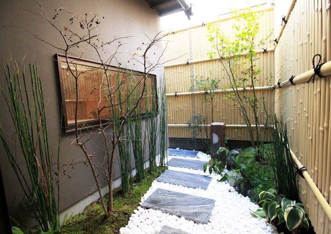 Hosta nijo sen