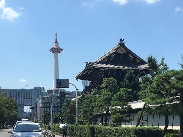 Enzo kyoto gojo