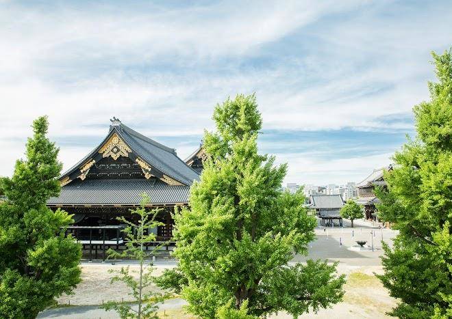 Hasunoha