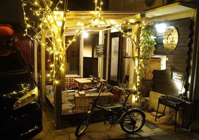 Seagull Nb Cob Nb Image