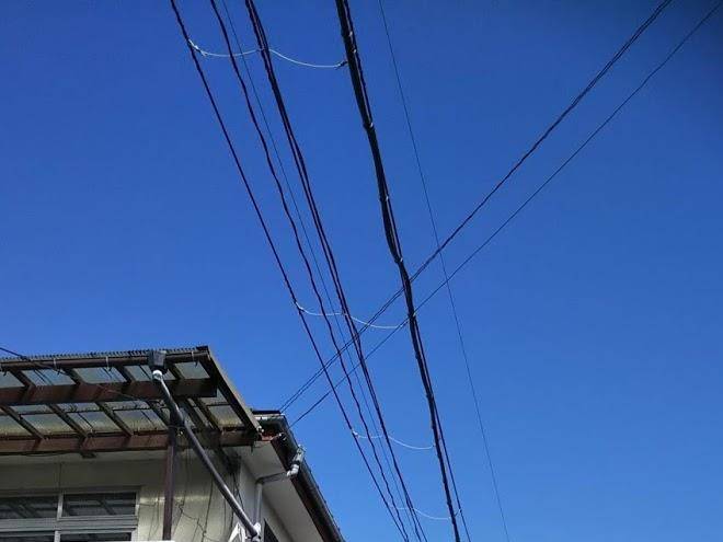 Business hotel ichitaro