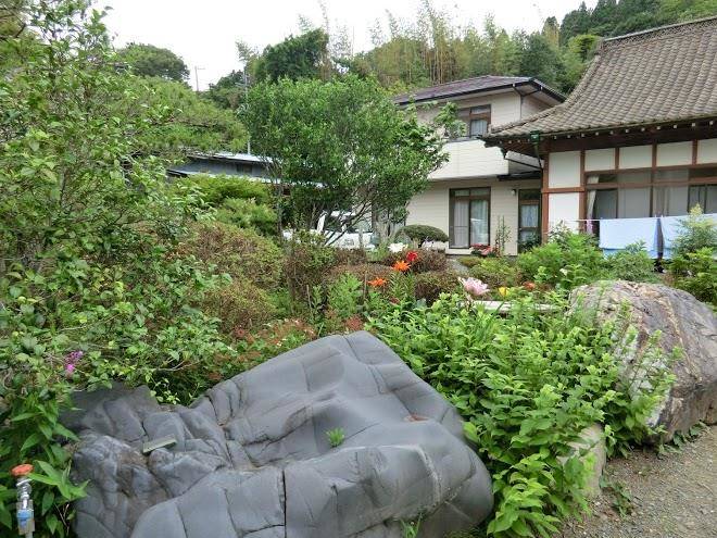 Hamanasu