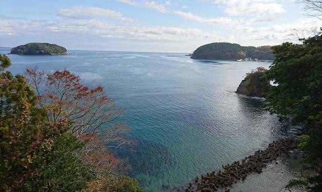Matsunamiso