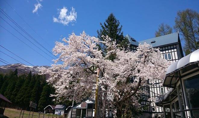 Hakuba sun valley hotel