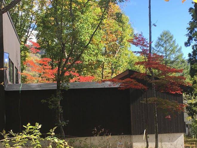 Panketo lodge hakuba