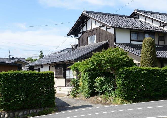 Shinshuyokoya orchard