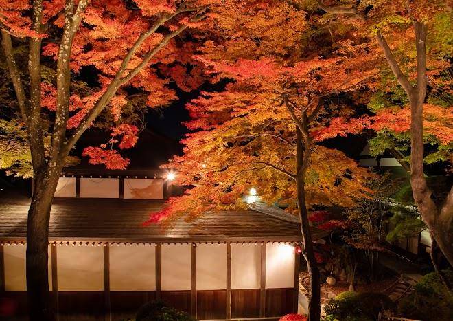 Kamisuwa onsen shinyu hotel
