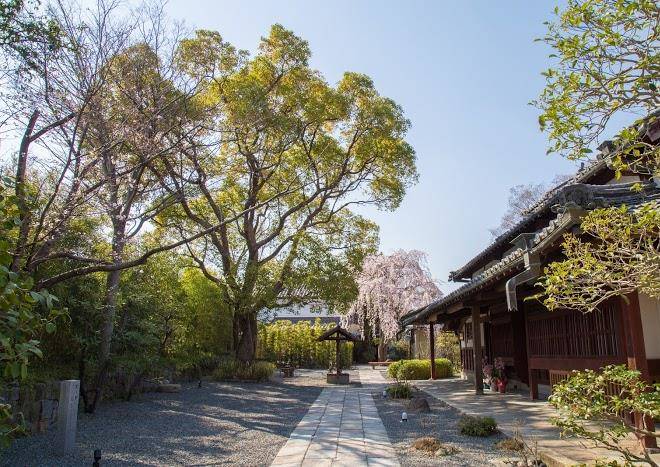 Ubusuna no sato tomimoto