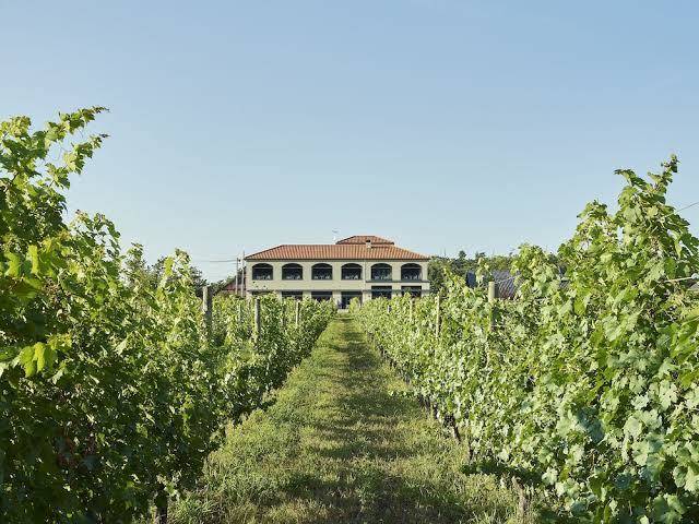 Winerystay Travigne Image