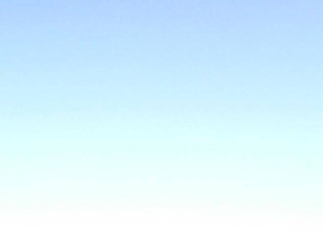 Onogameso