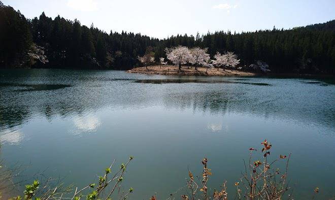 Nozawa country hotel
