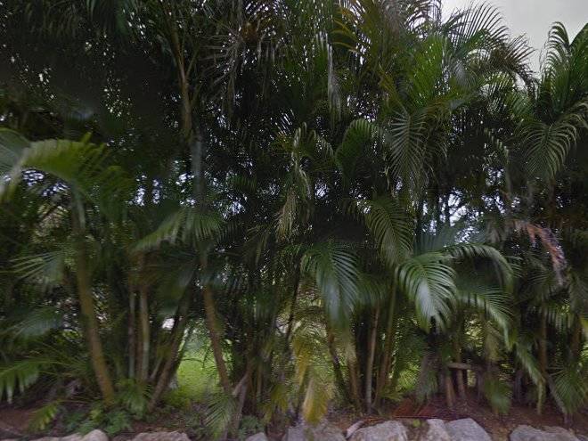 Tsundara beach resort
