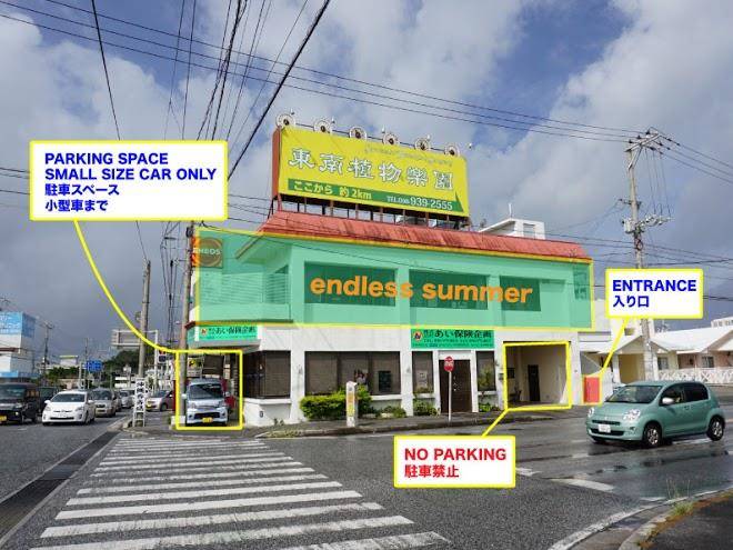 Endless summer okinawakita