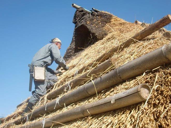 Inn sugi no ko