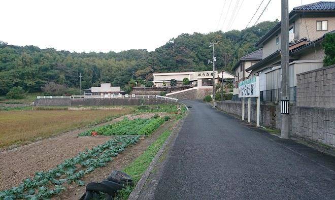 Haradaso
