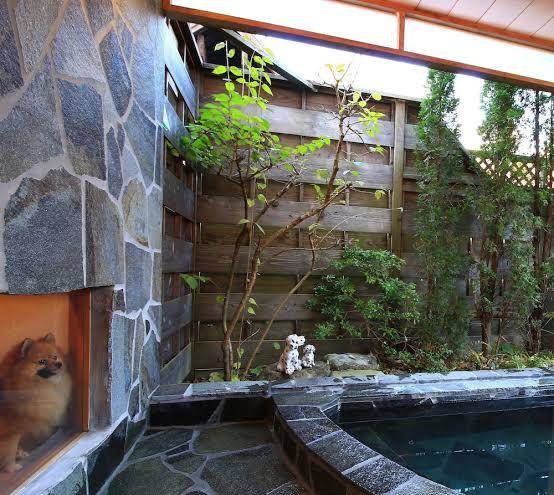 25 nasu golf garden