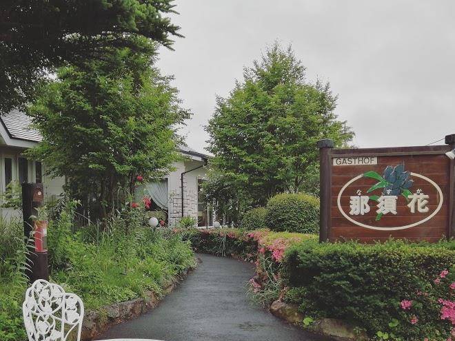 Dog spa resort altopiano
