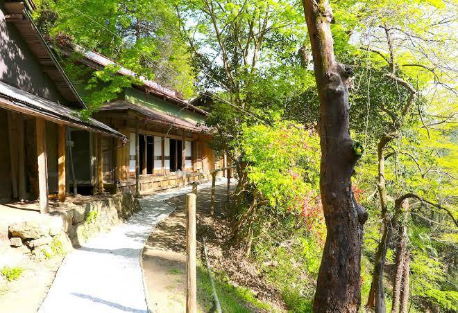 Woodland Bothy Image