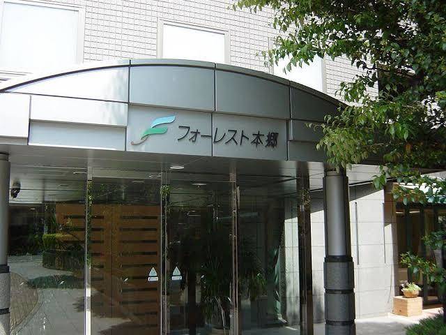 Forest hongo
