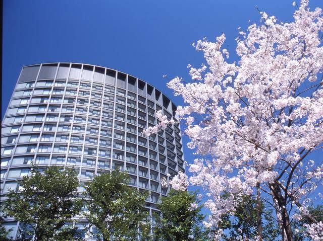 Grand Arc Hanzomon Image