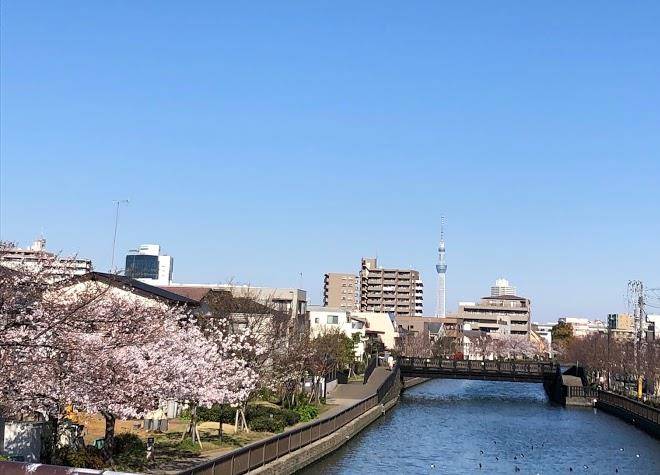 Henn na hotel tokyo nishikasai