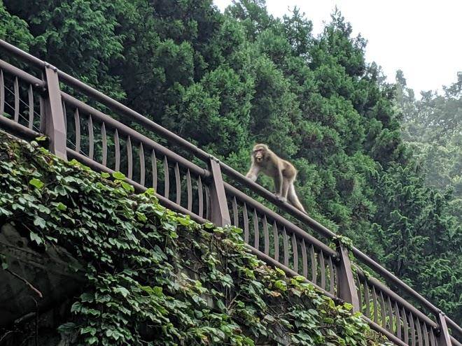 Kita akigawa nature rest villege