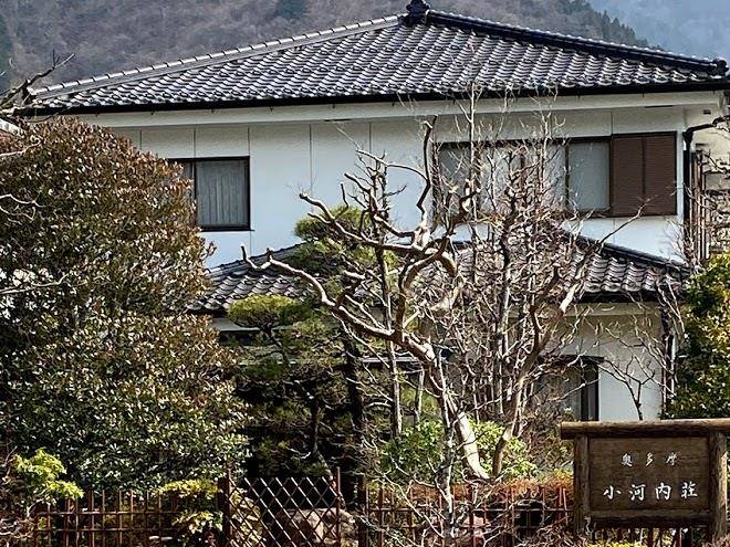 Ogouchiso