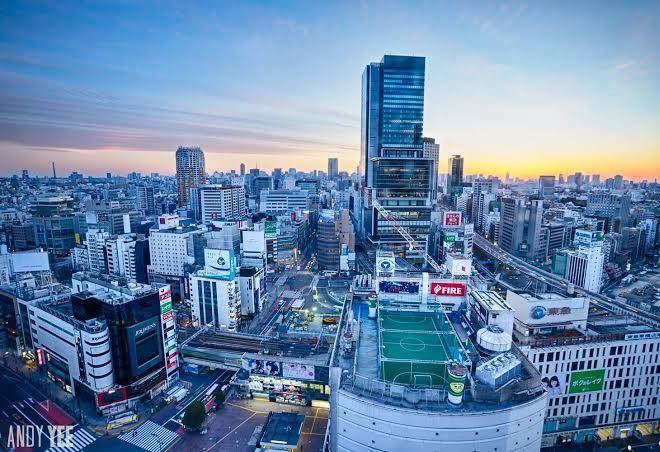 Shibuya excel hotel tokyu