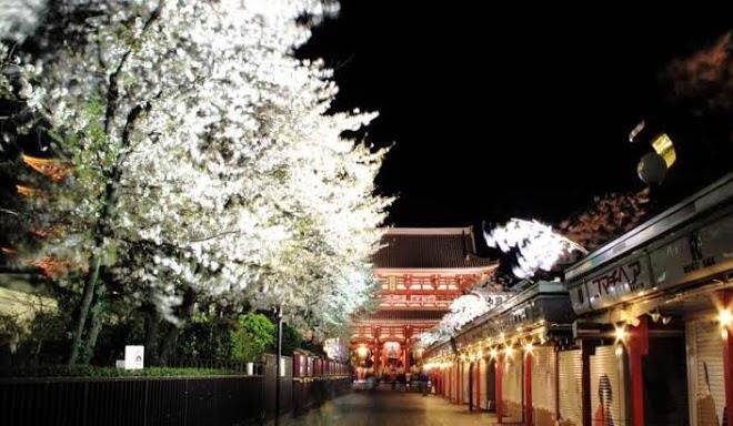 Coto tokyo asakusa 4
