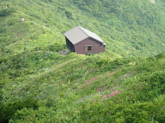 Utopia shelter